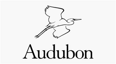 National Audubon Society Logo Free Transparent Clipart Clipartkey