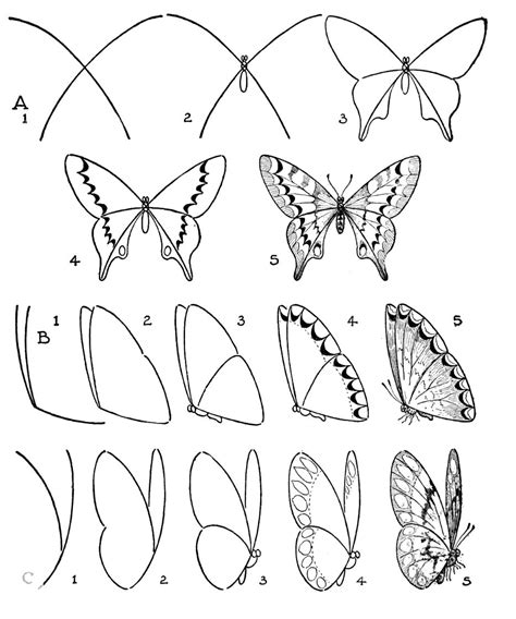 Dibujo Mariposa Bonita Para Colorear Rincon Dibujos Mariposas Pdmrea