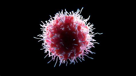 Natural Killer Cells Fight Cancer Without Collateral Damage