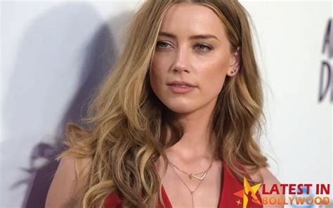 Amber Heard Movies And Tv Shows Latest In Bollywood News