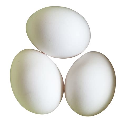 Download Three White Eggs Png Image For Free