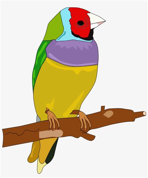 Parrot Toy Cliparts Free Download Clip Art Free Clip Gambar Burung