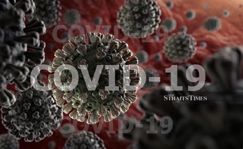 Coronavirus updated cases in malaysia. American is 22nd in Malaysia positive for Covid-19 | New ...