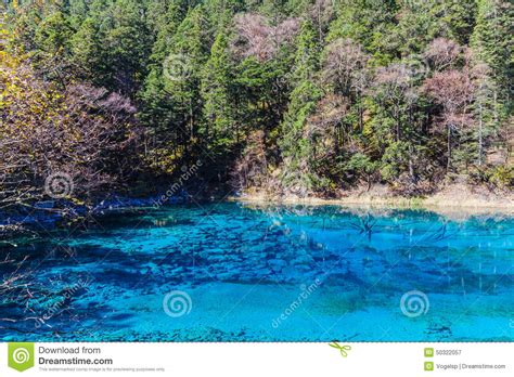 Beautiful Pond In Jiuzhaigou National Park Stock Image Image Of Green