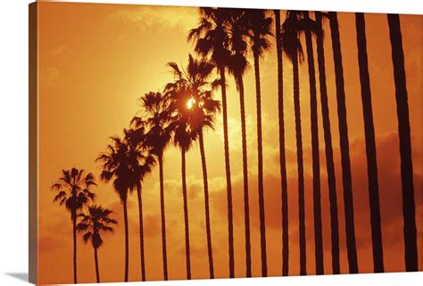 Palm Trees At Sunset San Diego Wall Art Canvas Prints Framed Prints