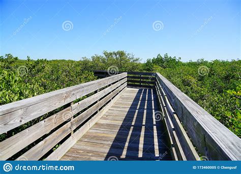 Boardwalk Crossing The Swamp Stock Image Image Of Largest Lake