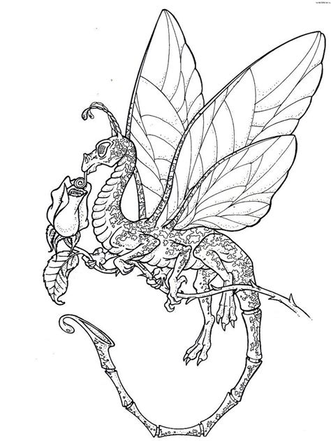 Realistic Dragon Coloring Pages For Adults - Coloring Home