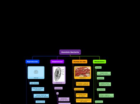 Dominio Bacteria Mind Map