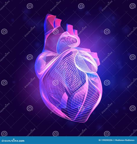 Human Heart Medical Structure Outline Vector Illustration Of Body Part