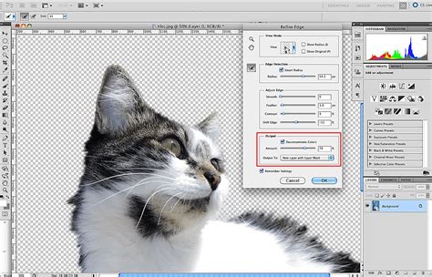How To Use The Refine Edge Tool In Photoshop