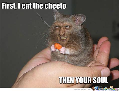 Hamster Meme First I Eat The Cheeto Then Your Soul Picsmine