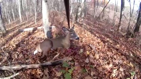Spine Shot Recovery Ny Deer Hunt Graphic Warning Youtube
