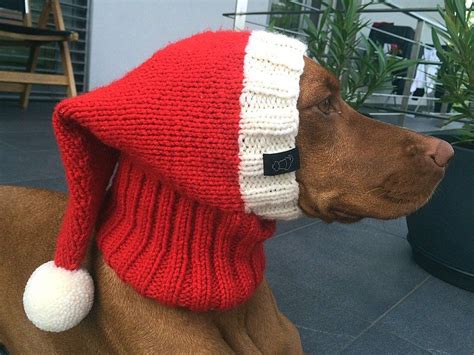 Download Knitting Pattern Santa Dog Hat Knitting Pattern Etsy