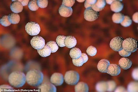 Death Toll From The Strep A Outbreak In Essex Rises To 13