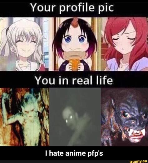 Gone Anime Pfp Meme Wallpaper Site