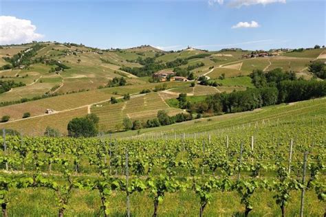 Weekend Nelle Langhe Cosa Vedere In Due Giorni Tusoperator