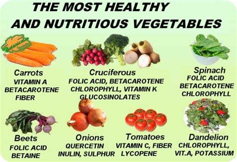 Which Are The Most Healthy Vegetables Botanical Online