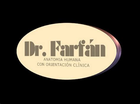 Aorta Abdominal Dr Farfán Ppt