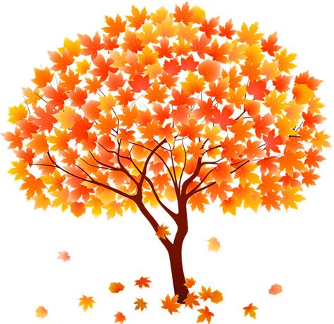 Copac Toamnă Toamna Arţar · Imagine Gratuită Pe Pixabay