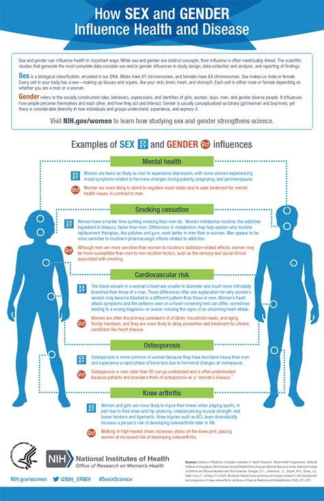 Healthcare Infographic Hipaa Dos And Donts Infographicnow Hot Sex Picture