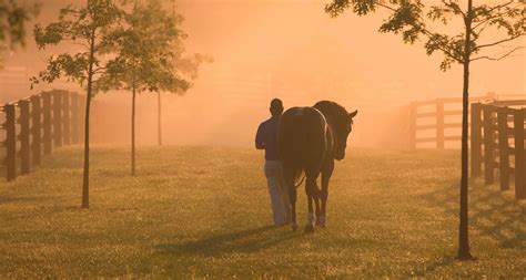 Visit Horse Country Experience The Best Of Horse Country