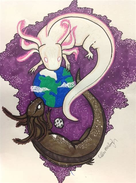 Axolotl Yin And Yang Ajolote Ajolote Dibujo Dibujos