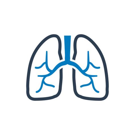 Lung Clip Art 10 Free Cliparts Download Images On Clipground 2024