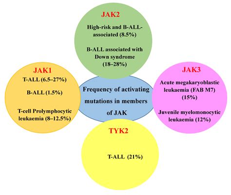 Cancers Free Full Text Protein Tyrosine Kinases Their Roles And