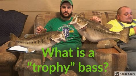 What Is A Trophy Bass Youtube