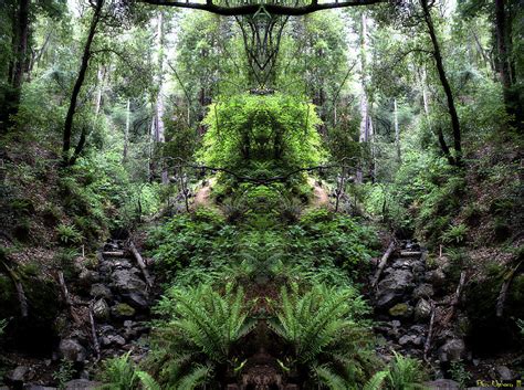 Spirits Of Tamalpais 1 Photograph By Ben Upham Iii Fine Art America