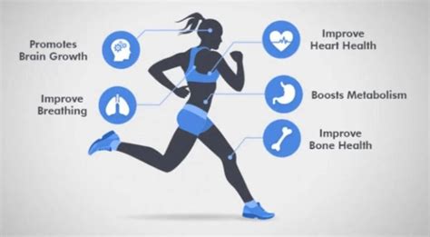 What Is The Cardiovascular Endurance How To Improve Mobile