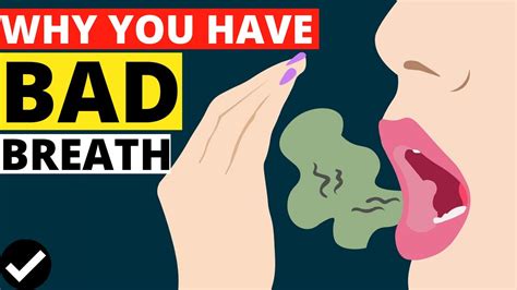 the 8 reasons why you have bad breath what causes of bad breath [ how to get rid of it] youtube