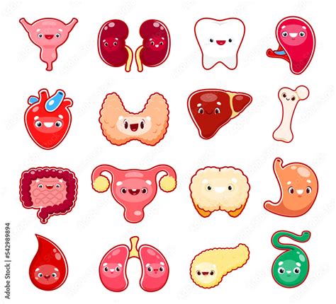 Cartoon Human Body Organ Characters Vector Funny Body Parts Anatomy