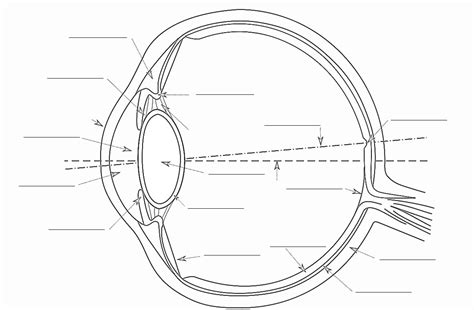 Laminas Educativas El Ojo