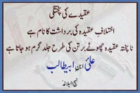 Pin By Tahirawasti Wasti On Nahjul Balagha Urdu Quotes Words Quotes