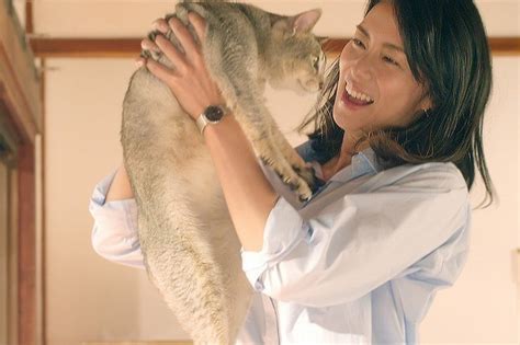 Это наверно по японски или по китайски. 柴咲コウの"猫愛"あふれる「ねことじいちゃん」本編映像 ...