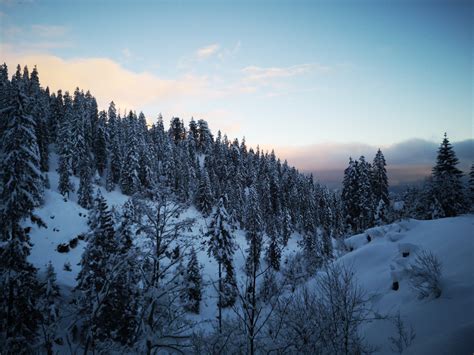 Free Images Swiss Switzerland Winter Landscape Snow Snowy