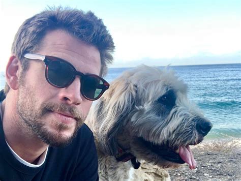 10 Wholesome Pics Of Celebrities With Their Dogs