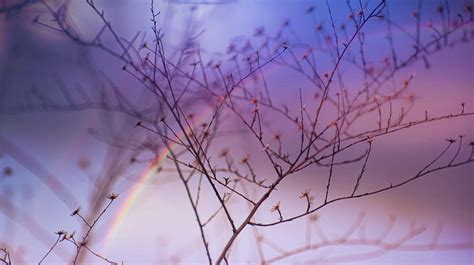 Somewhere Over The Rainbow Photograph By Gina Rothe Fine Art America