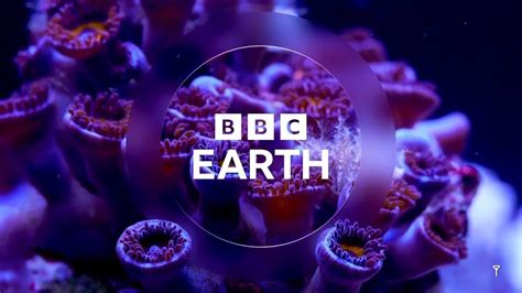 Bbc Earth Idents And Promos Compilation 2023 Present Youtube