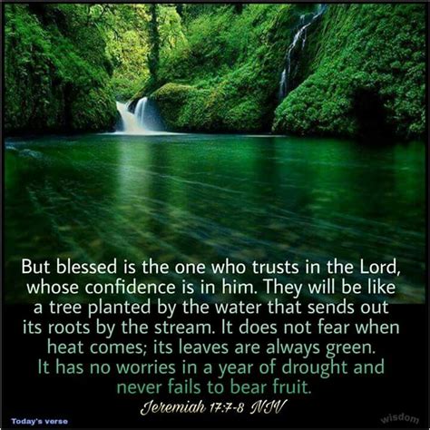 Jeremiah 177 8 Niv But Blessed Is The One Who Trusts In The Lord