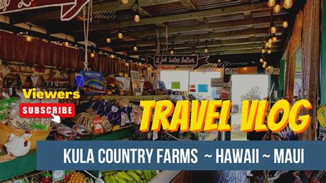 Best Vlog 🏡 Kula Country Farms 🏡 Maui Hawaii Youtube