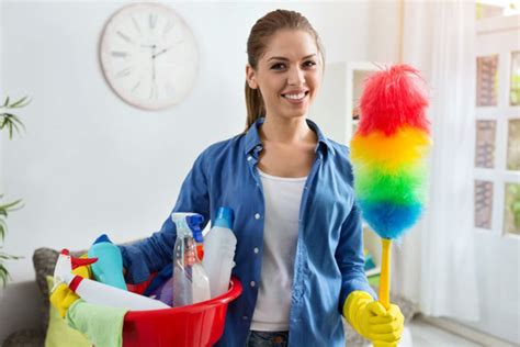 Empleada Del Hogar Empleada Domestica Empleada De Limpieza Para Casa De
