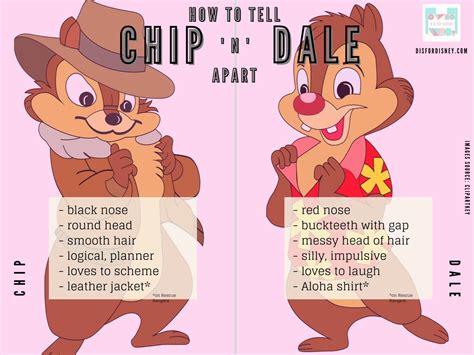 Whats The Difference Between Chip And Dale Celebrity Fm