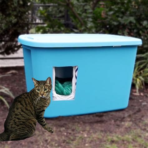 Make Community Cats Feel Like Royalty By Building Them A Cozy Cat