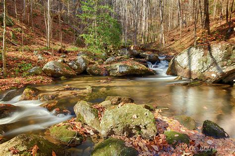 Fall Mountain Stream Photograph By Dillon Kalkhurst Pixels