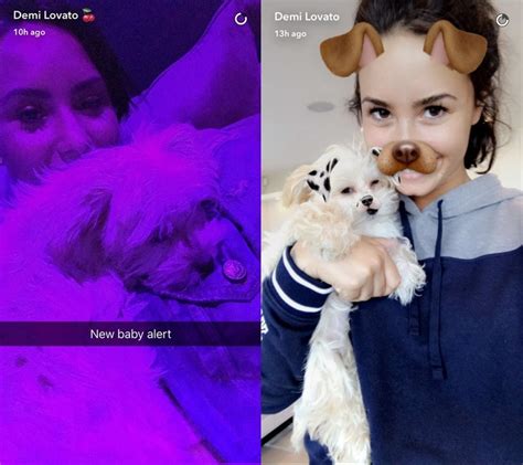 Demi Lovato Reveals Her New Dog On Snapchat Teen Vogue
