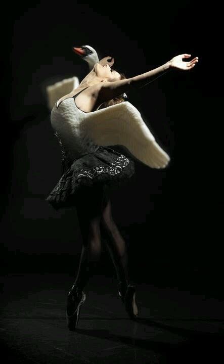 The Black Swan Ballet Photography Swan Lake Ballet Dancers