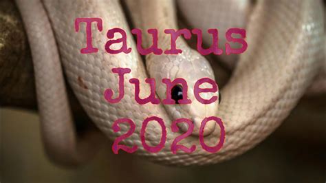 Taurus June 2020 Waiting For The Right Time Youtube