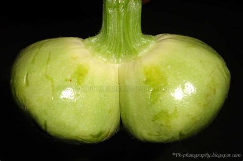 Funny Vegetables Nature Cultural And Travel